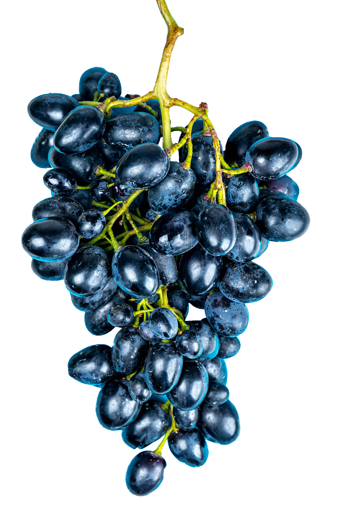 black grapes images, black grapes png, black grapes png image, black grapes transparent png image, black grapes png full hd images download